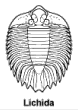 some of the most ornate trilobites are Lichida